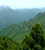 青海省對(duì)天然林保護(hù)工程進(jìn)行績(jī)效評(píng)價(jià)，對(duì)2018年度森林管護(hù)工作進(jìn)行了巡回監(jiān)理，實(shí)現(xiàn)績(jī)效評(píng)價(jià)和監(jiān)理工作的全覆蓋。