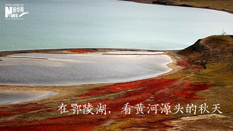 三江源慢直播丨在鄂陵湖，看黃河源頭的秋天