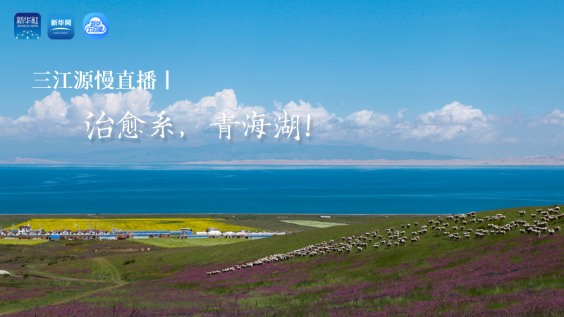 三江源慢直播丨治愈系，青海湖！